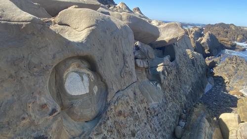 Concretion ring in sandstone at Weston Beach at Point Lobos.