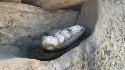Concretionary lump in eroded sandstone along the South Shore trail at Point Lobos.