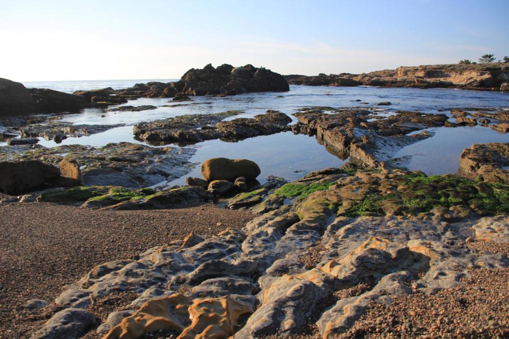 Photo of Weston Beach at Point Lobos State Natural Reserve