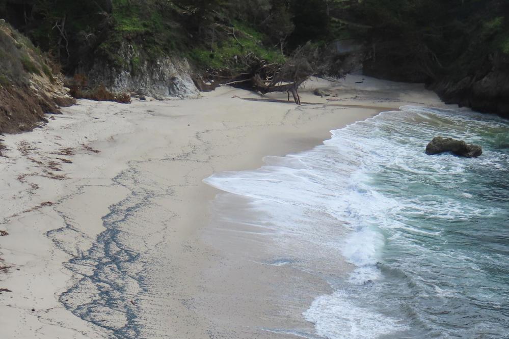 A quiet sandy beach at low tide curves between rocky cliffs, with gentle waves washing ashore and dark seaweed lines tracing the shoreline beneath a forested bluff.